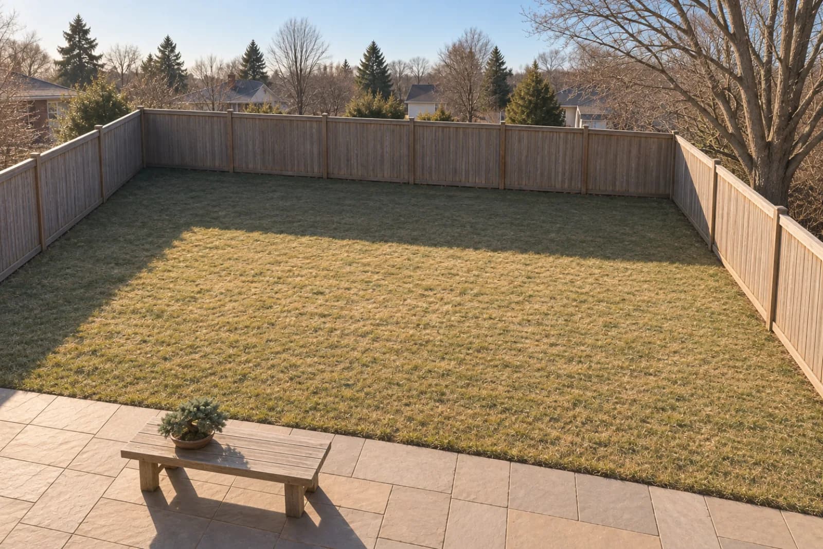 A small fenced backyard on a clear winter day, seen from an upstairs window: a sunlit paved patio with a juniper on a low bench, a long band of shadow from the far wooden fence across the lawn, the far left corner in shade, and a large bare maple beyond the fence on the right with sunlight showing through its twigs.