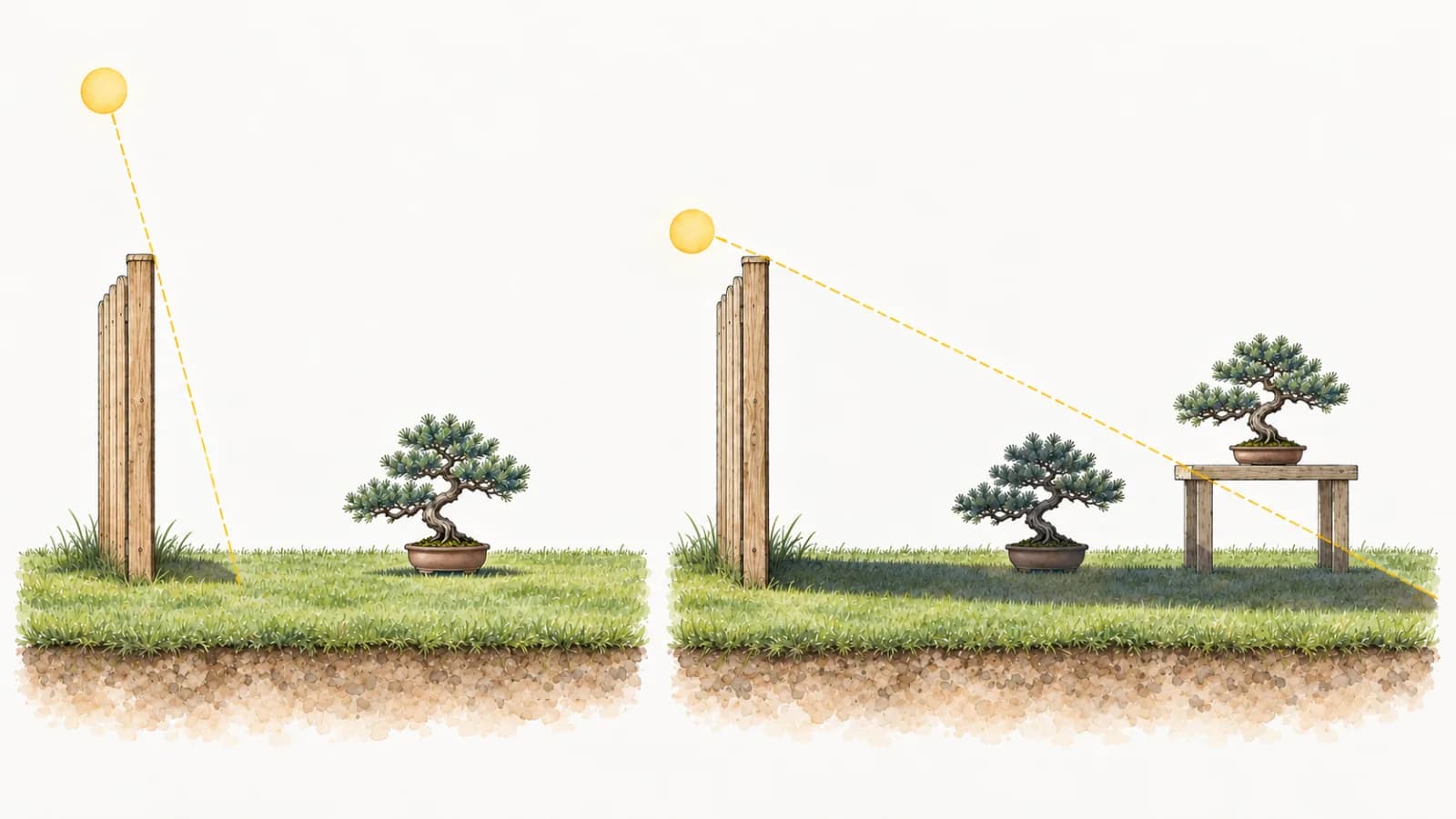 Two side views of the same wooden fence and lawn. On the left, a high sun casts a short shadow at the foot of the fence, and a small potted tree on the lawn is in sun. On the right, a low sun casts a long shadow that covers a potted tree on the lawn, while a second tree on a bench just beyond it has its foliage in sun above the shadow.